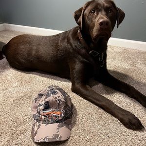 SITKA Gear Men's Sitka Quick-Dry Stretchy Hunting Ball Cap